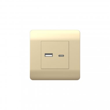 Фотография товара 'CHINT 431450 (NEW3-E) Розетка USB A+С, 5В/2,1А'