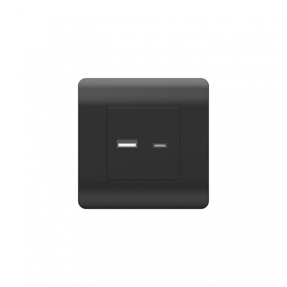 Фотография товара 'CHINT 431501 (NEW3-E) Розетка USB A+С, 5В/2,1А'