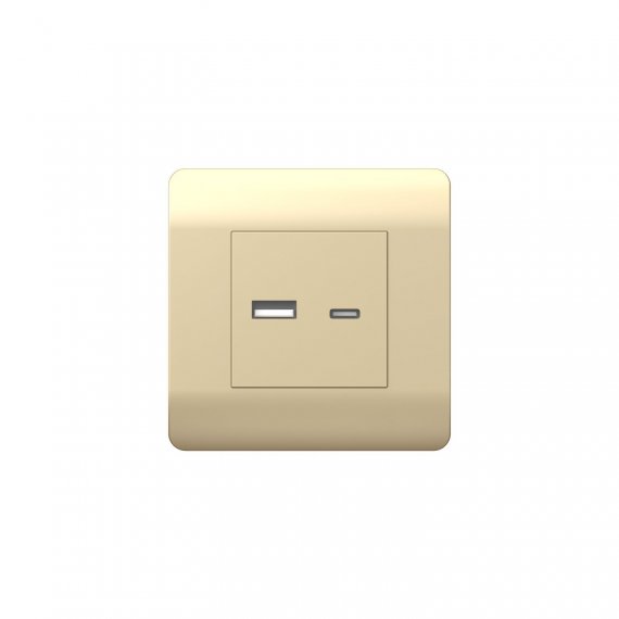 Фотография товара 'CHINT 431450 (NEW3-E) Розетка USB A+С, 5В/2,1А'